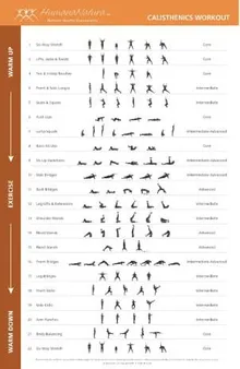 Calisthenics Exercises PDF: Tailored Programs for All Levels